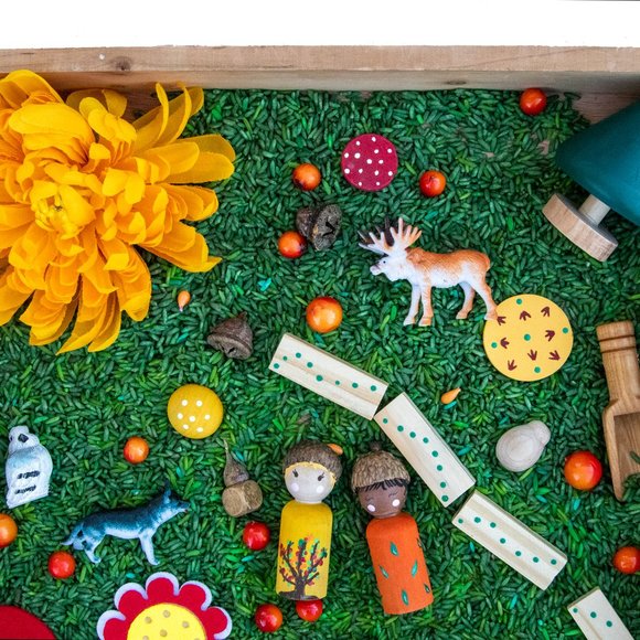 Sensory Bin | Sensory Kit | Wood Toys | Open Ended Toys - Picture 3 of 10